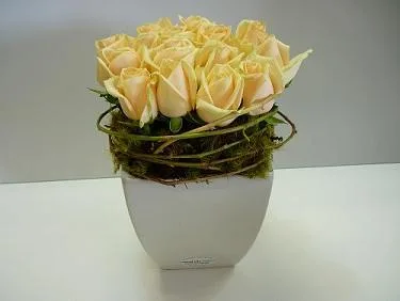 Stunning Champagne - Stunning Champagne roses in a ceramic container. Other colours available on request